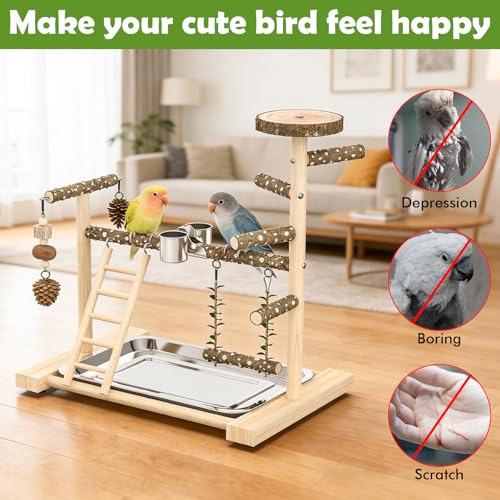 Bird Playground，Natural Wood Bird Perch Stand Parakeet Playground with Swing, Ladder & Feeder Cups，Birds Play Stand for Cockatiel Parakeet Lovebirds Conure - size: 1 layer T2