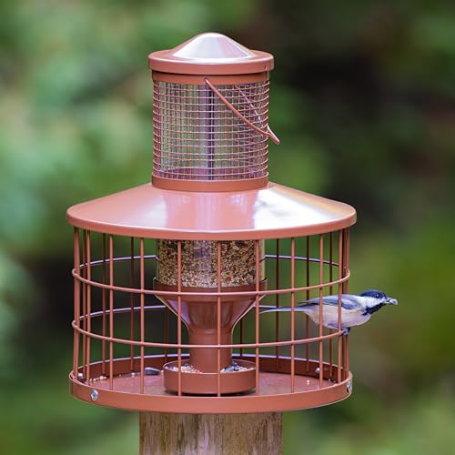 Caged Bird Feeders Squirrel-Proof, Metal, 2.8 Lbs Capacity-Cage Tube Seed Feeders with Tray Outdoor Hanging, Attract Birds,Detachable Cleaning, Starling Proof Wild Bird Feeder（Brown） - color: Brown