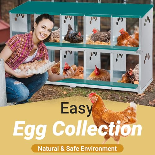 Chicken Nesting Box, 10 Compartment Nesting Box, | 10 Room Metal Nesting Boxes for Chicken, Green