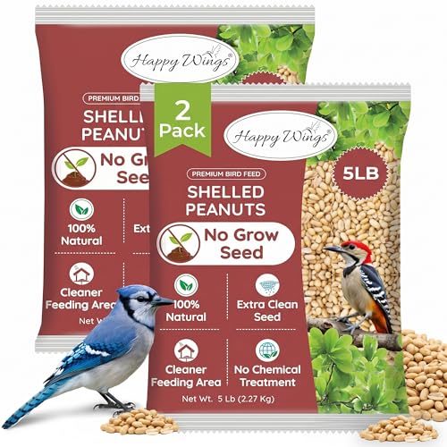 Happy Wings 10LB Shelled Peanuts Bird Food, No Grow Seeds, 100% Edible | High in Oil & Protein, High Energy Content, No Waste Bird Seeds, Heat Treated at Optimum Temperature, USDA & BRC-GS Approved - size: 5 Pound (Pack of 2)