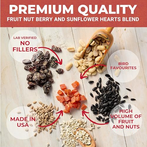 Very Berry Wild Bird Seed for Outside Feeders, Fruit Nut Bird Food, 5 lb | bird seeds for outside wild birds, dried fruit and berries with sunflower hearts, no milo or fillers, made in USA