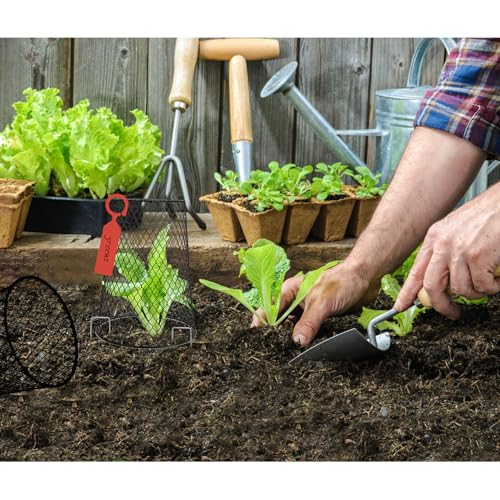 10 Pcs 6.8"×7.4" (Multiple Sizes/Quantities Available) Seedling Plant Protectors from Animals, Chicken Wire Plant Cage Garden Cloche to Protect Plants Vegetables from Rabbits Squirrels Chicken - size: 6.8"×7.4"