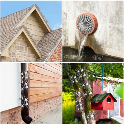 Bird Spikes 65 FT Anti Climb Spikes Stainless Steel Bird Squirrel Deterrent | Acts as squirrel baffles for bird feeders, stops squirrels stealing bird food - size: 65 FT
