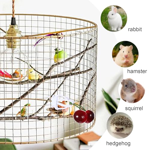 12 Pcs Bird Cage Food Holder, Parrot Fruit Vegetable Clips Millet Holder for Birds Cages Feeder Clip for Budgie Parakeet Canary Cockatiel Macaw Conure Cockatoo