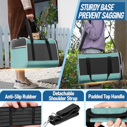 GAPZER Large Cat Carrier Soft, Collapsible Travel Pet Carry Bag, Small Dogs | Big Kitten Cat 20lbs Mainecoon, Top Open Travel Shih-Tzu Pet Kennel, Yorkie Small Dog 10 Pounds, 18x12x12, Durable Cloth Teal - color: Turquoise