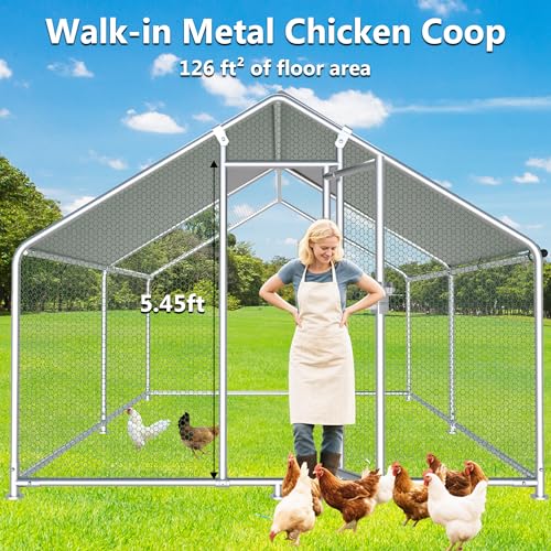 HITTITE Large Metal Chicken Coop with Run, 12.8 x 9.84 x 6.56 ft Walk in Poultry Cage Chicken Run Pen, Outdoor Chicken Runs for Yard with Waterproof & Anti-UV Cover - size: 153.6"L x 118.0"W x 79.2"H