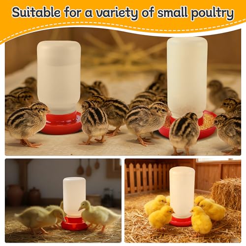 Enhon 2 Pack 2 Sizes Quail Waterer Base, Quail & Chick No Drown Water Base - size: 2 Sizes
