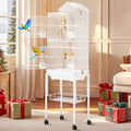 DWVO 62-inch Metal Bird Cage for Cockatiels, Parrots, Pigeons | Bird Cage for Cockatiels, Parrots, Pigeons, Lovebirds, Features Roof Access and Rolling Stand, White - color: White