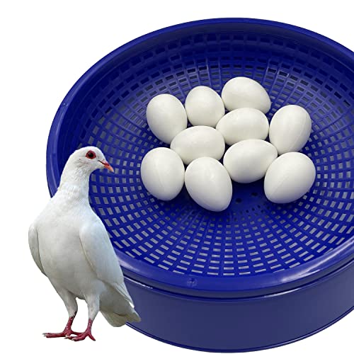 10pcs Solid Plastic Pigeon Eggs Fake Eggs for Racing Pigeons Hatching Supplies | for Racing Pigeons Hatching Supplies
