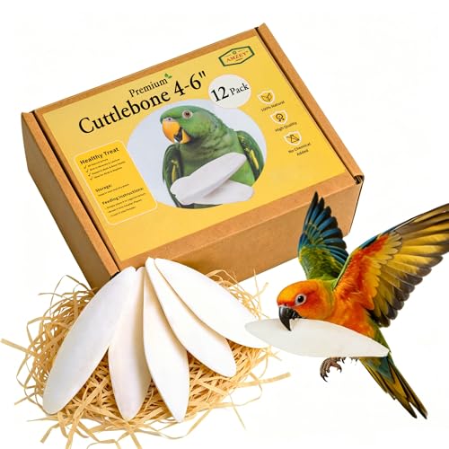 Amzey 12 Pack Cuttlebone for Birds, 4-6 Inch Natural Calcium Source for Parrots