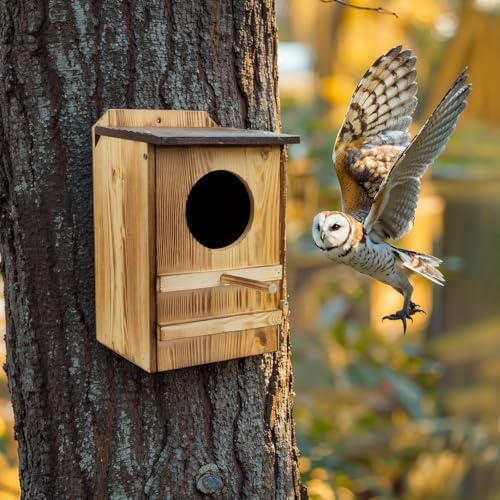 8'' x 13'' Owl House for Outdoor, Screech Owl House, Bird Box Large Handmade Wooden Circular Opening Screech Box for Outside with Mounting Screws and A Bag of Wood Shavings