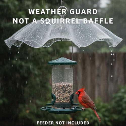 Birds Choice Weatherguard Bird Feeder Dome | 13in Rain Cover | Clear | Polycarbonate Cover for Small Hanging Feeders, Helps Keep Seed Dry, Not a Squirrel Baffle - color: Clear