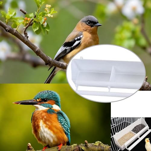 4 Pack Bird Cage Feeder | Bird Feeder for Cage & Comederos para Pajaritos - Double Cups PP Material Holds More Feeds for Small Birds