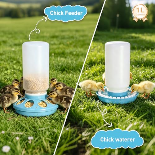 Chick Feeder and Waterer Set, 0.26Gal Quail Waterer with Balls Anti-Drown Chicken Water Feeder no Mess Chicken Supplies in Brooder Poultry Waterer for Ducklings Ducks Button Quails Bird (Blue)