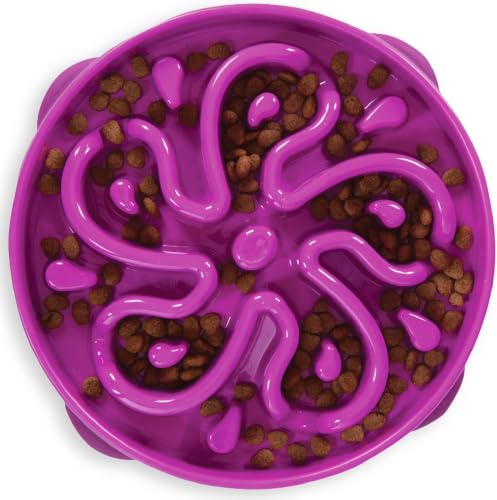Outward Hound Fun Feeder Slo Bowl – Large 4‑Cup Capacity,Slow Feeding,Medium to Large Dogs,Non‑Slip,Purple,Flower Pattern,(Pack of 6) - color: Purple, size: Large (Pack of 6)