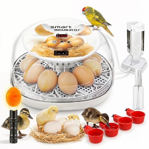 Incubators for Hatching Eggs, Chicken Waterer Cups, Automatic Egg Turner Holds 12 Eggs, Smart Incubator 360° Clear Window with Temperature Display Egg Candler for Small Poultry Chickens Ducks Quails - color: White