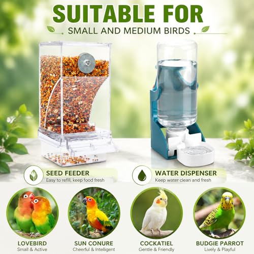 Rypet No-Mess Bird Feeder and Water Dispenser Set for Small Birds | Automatic Bird Feeder, Transparent Acrylic Food Container, Helps Reduce Seed Scatter, for Parakeet Cockatiel Parrot Canary - color: Feeder + Drinking Bottle