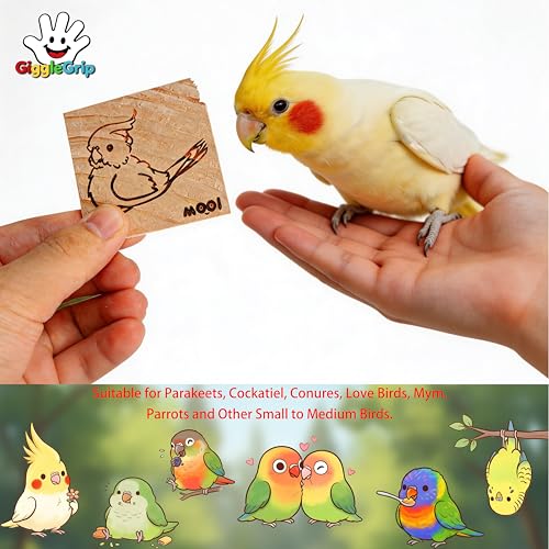 10 Pack Bird Chew Toys, 100% Natural Pine Wood Blocks for Parrot Chewing & Beak Trimming, Durable Bird Cage Accessories for Medium Small Birds, Conures, Cockatiels - style: 10 Small Slices