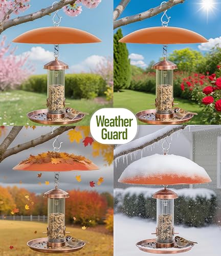 13" Hummingbird Feeder Shade Cover,Bird Feeder Dome Rain Guard,Smart Bird Feeders Umbrella,Weather Guard for Shepherd's Hook Outdoors (Terracotta), 2 Pack - color: Terracotta, size: 13Inch / 2 Packs