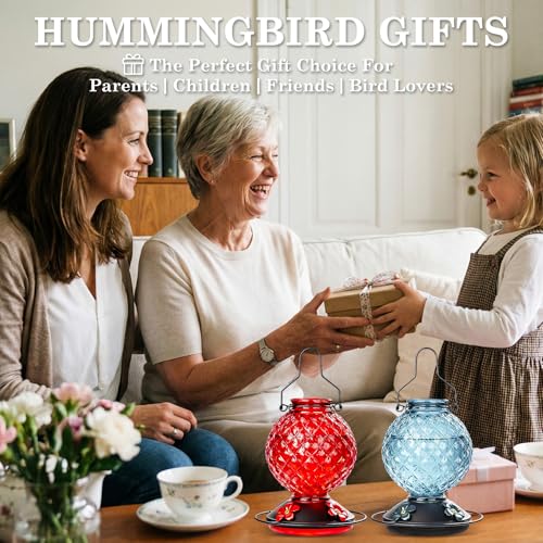 2 Pack 25 OZ Glass Hummingbird Feeder for Outdoors, Leak Proof Hummingbird Feeder with Ant Moat, 4 Bee Resistant Feeding Ports, Easy Clean Wide Mouth Design, Hanging Nectar Feeder, Red - color: Red - 2