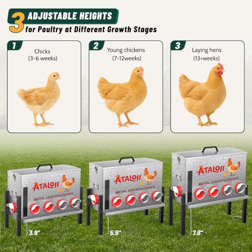 16gal 82LB Large Automatic Chicken Feeder with Window, Food Tray - No Waste | No Spill, Rust-proof Alloy Steel Poultry Feeder, Waterproof Metal Chicken Feeder for Indoor & Outdoor Chicken Coops (10 Ports - size: 16gal