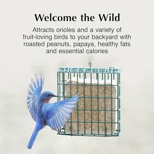 C&S Oriole Delight No Melt Suet Dough, Suet Cakes for Wild Birds Including Orioles and More, 11.75 Ounces, Pack of 8 - size: 1.47 Ounce (Pack of 8), style: Oriole, 8 Pack