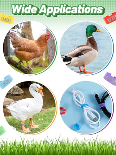 MEWTOGO 0.6in 100 Pcs Numbered Chicken Leg Identification Bands | Openable Reusable Readable 1-100 Poultry Leg Rings for Ducks Goose Gamefowl Turkey, Chicken Coop Accessories - size: 0.6in