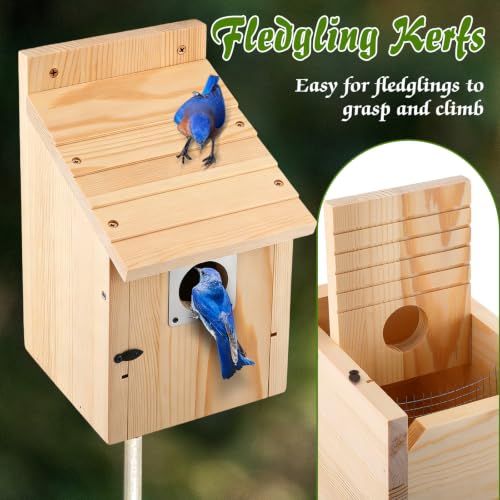 Dreyoo 4 Pack Bluebird Houses for Outside with Metal Predator Guard, 1-1/2" Entrance Hole Wooden Blue Bird Houses for Outdoors, Bluebird Nesting Box(Wood) - color: Wood