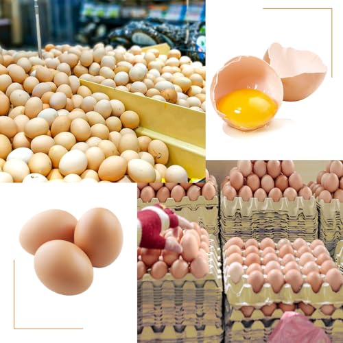 20 Flats 30-Cell Egg Crate, Sturdy and Stackable, Holds 30 Eggs, Multipurpose Use - size: 20 Pack Light gray