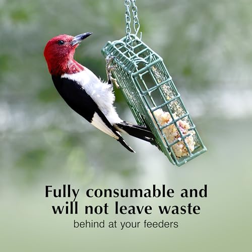 C&S Orange Delight No Melt Suet Dough, Suet Cakes for Wild Birds Including Robins, Blue Jays, Bluebirds, Tanagers, Thrushes and More, 8 Pack - size: 1.47 Ounce (Pack of 8), style: Orange, 8 Pack