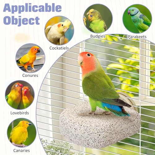BNOSDM 4 Pcs Bird Beak Grinding Stone Calcium Parrot Perch Stand 2.8*2.6in - color: 4 Pcs- White (M)
