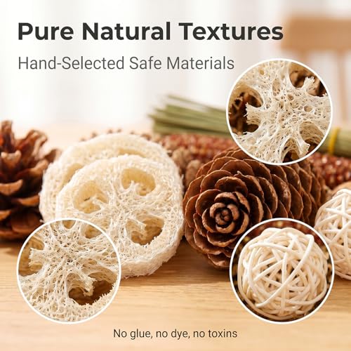 Natural Parrot Foraging Chew Box Toy for Small Medium Parakeets | Shredding molar cage accessory with pine cones, rattan balls & loofah slices; interactive toy for conures, lovebirds