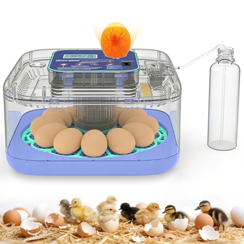 Incubators for Hatching Eggs, 12-24 Egg Digital Incubator with Smart Temperature & Humidity Control, Auto Egg Turner, Egg Candler, Poultry Hatcher for Chicken Eggs, Ducks, Goose, Quail Eggs