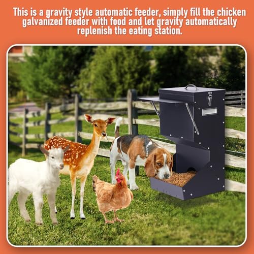 Outdoor Automatic Dog Feeder Large Breed 25 lbs Gravity Dog Feeder | Galvanized Metal Self Feeding Dog Food Dispenser Hanging Pet Food Feeders for Dogs Chickens and Farm Animals