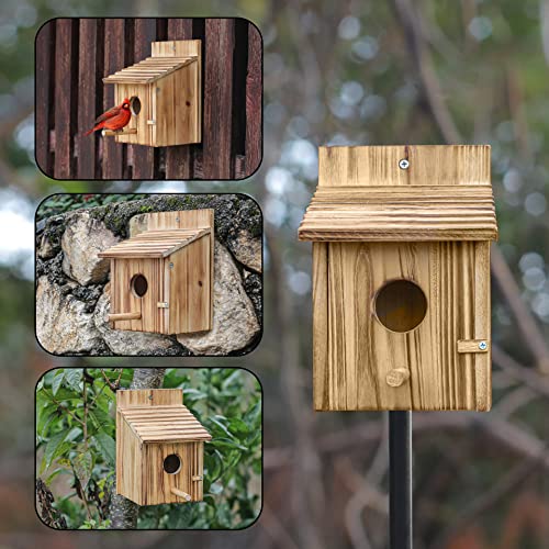 Bird Houses for Outside，Wooden Birdhouse with Open House Design - Perfect Nesting Box for Bluebirds - Assembly Required - Ideal for Outside - Blue Bird House for Outdoor Clearance - color: Classic
