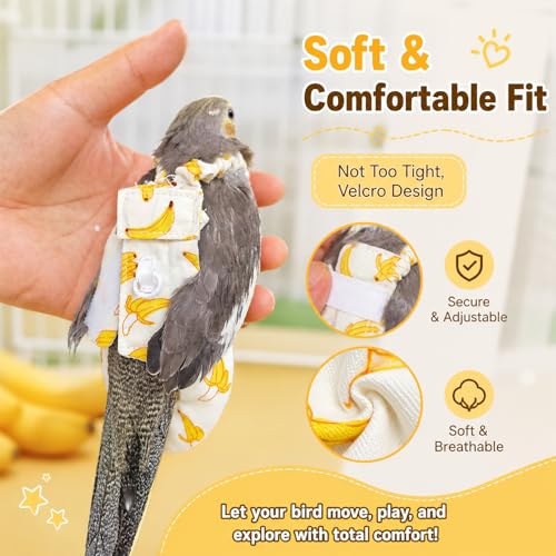 Bird Diaper and Leash Set with Harness | Cockatiel/Sun Conure/Quaker Parrot Diaper Leash, Medium Bird Flight Suit Set for Outdoor Flying & Training (M)