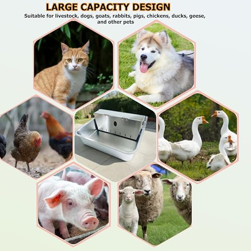 Stainless Steel Automatic Pet Waterer with Flip-Top & Wall Mount | Outdoor Auto-Fill Water Bowl with Adjustable Float,Wide Drinking Area,Easy To Clean,for Dogs,Chickens & Other Poultry - size: Large-Flip cover