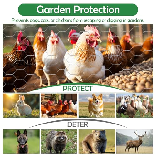 Floral Chicken Wire for Craft, 15.7 Inch x 75 FT Lightweight Galvanized Hexagonal Chicken Wire Netting, Silver Chicken Wire Fence for Garden Poultry Chicken Wire Mesh with Gloves, Wire Ties, Plier - size: 15.7 Inch x 75 FT