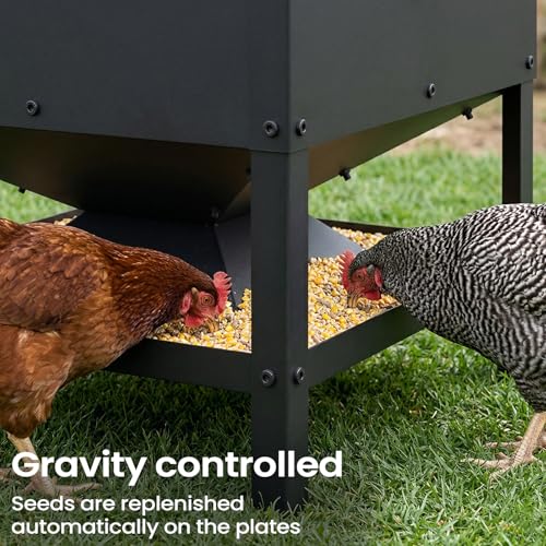 Metal Chicken Feeder, 56L Large Capacity Galvanized Steel Poultry Feeder with Raised Legs, 18 x 19.3 x 18 in Feed Storage Bin for Chickens, Ducks and Backyard Coop, Black