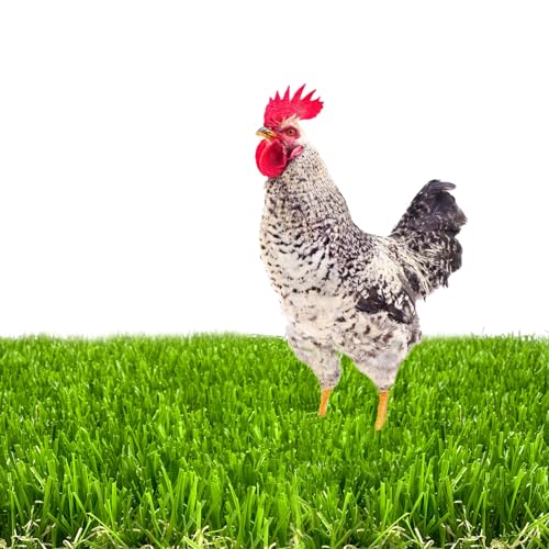 6 Pack Washable Chicken Nesting Box Pads for Laying Eggs, Artificial Grass Nesting Pads for Chicken Coop, Nesting Box Liners Bedding for Hen Lawn Indoor Outdoor - 12"x12"1.2"