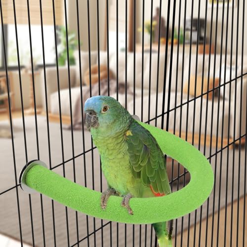 Rypet U-Shaped Large Parrot Perch, Quartz Bird Perch for Cage(Green L) | Safe Chew & Rest Perch for Large Birds, Durable Non-Toxic Cage Accessory, for Parakeets Cockatiels Conures Macaws - color: Green, size: Large