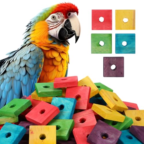 Sumind 80 Pieces Bird Toy Wooden Blocks Parrot Chewing Toys Mini Wood Chips Small Animals Cage Accessories for DIY Playing Chewing Shredding Mixed Large Bird Toys, Random Color - style: Wood Blocks