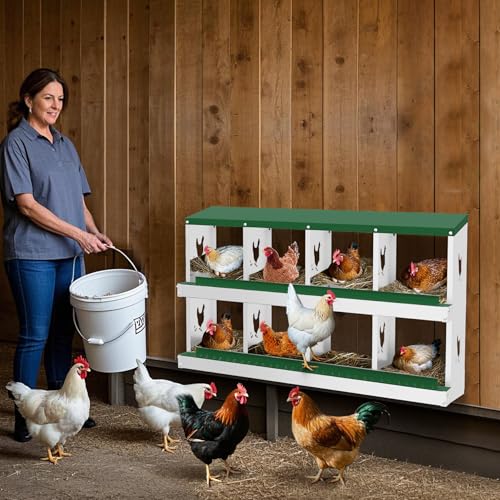 Chicken Nesting Box, 8 Compartment Metal Chicken Nesting Boxes for Chicken Coop, Easy Egg Collection, Easy Cleaning, Chicken Laying Boxes for Hens, Green - color: green, size: 8 holes