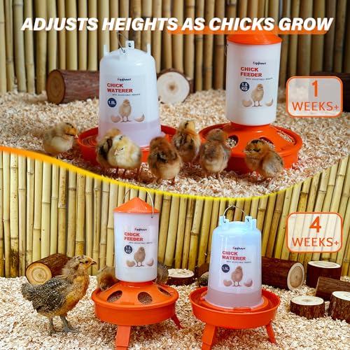 Eggluuz Chick Feeder and Waterer Kit, Top Fill 1.5kg Chick Feeder and 1.5L Chick Waterer with 3 Adjustable Heights