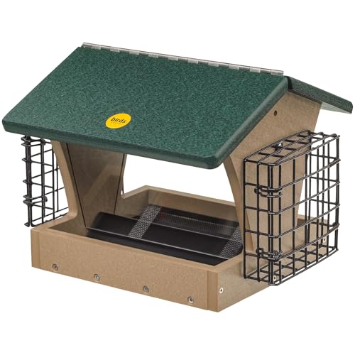 Birds Choice SN200-S Two-Sided Hopper Feeder, Recycled Bird Feeder w/Two Suet Cages, Medium, Taupe/Green | Two-Sided Recycled Plastic Feeder, Serves Seed and Suet Together, Weather-Resistant for Year-Round Feeding - style: Taupe/Green w/ Suet Cages