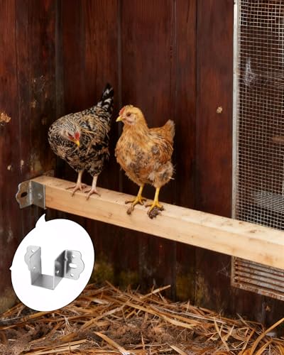 4Pcs Chicken Coop Roost Brackets, Metal Perch Mount for Chicken Coop, Heavy Duty Roost Bar Brackets for 2x3 Lumber, Come with Screws