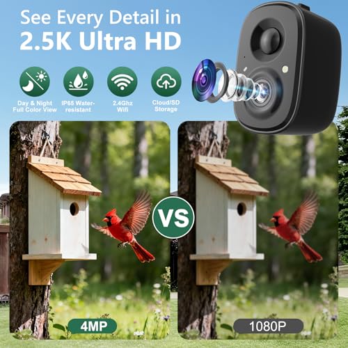 Smart Bird Camera Solar Powered with Pole for Feeder/Bath Birdwatching | 2.5K UHD Video Auto Capture, Free AI Bird Identification, Instant Alerts, Wireless Outdoor Cam, 2.4G, for Mom/Dad/Bird Lovers