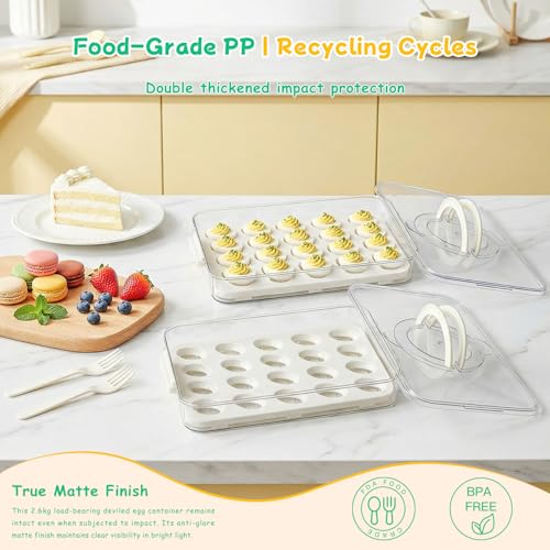 2 Pack Deviled Egg Containers with Lid, Durable Deviled Egg Platter, Fridge Portable Egg Tray with Lids for Party, Thickened Deviled Egg Carrier with Portable Insulated Bag and Piping Decorating Kit