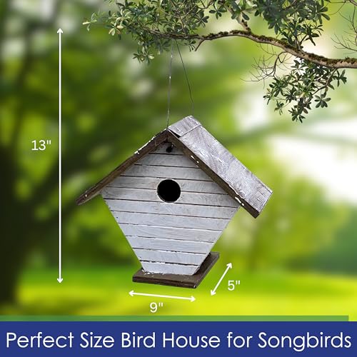 Shiplap Wren House - White Wood | 1.125-Inch Entrance Hole Sized for Wrens - Rear Clean-Out, Cable Hanger, Arrives Fully Assembled