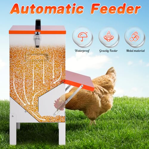 35lb Automatic Chicken Feeder Metal Ducks Poultry Feeder no Waste Large Hanging Chicken Feeders Trough with Leg for Chickens Coop Quail Outside Galvanized Waterproof Chicken Feeder